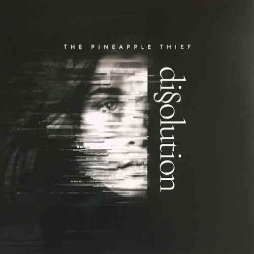 Pineapple Thief: Dissolution -LP